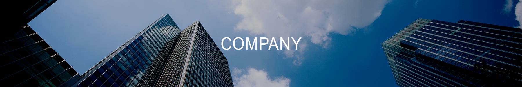 Company